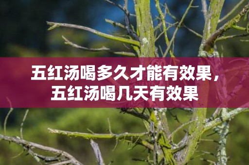 五红汤喝多久才能有效果，五红汤喝几天有效果