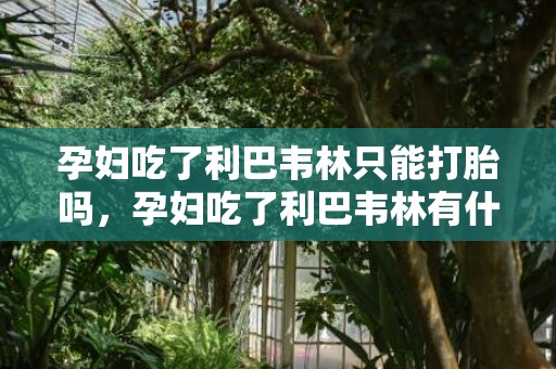 孕妇吃了利巴韦林只能打胎吗，孕妇吃了利巴韦林有什么补救措施