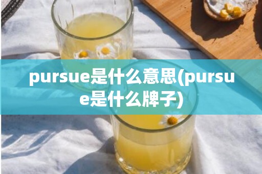 pursue是什么意思(pursue是什么牌子)