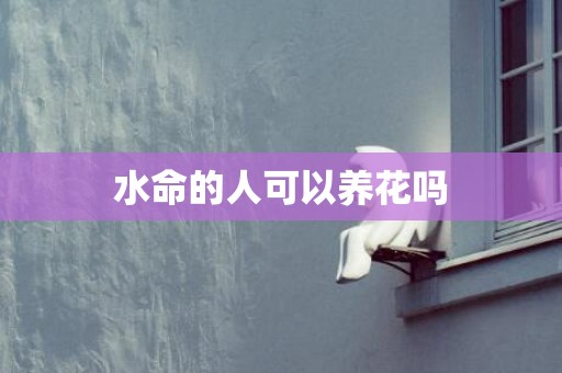 水命的人可以养花吗