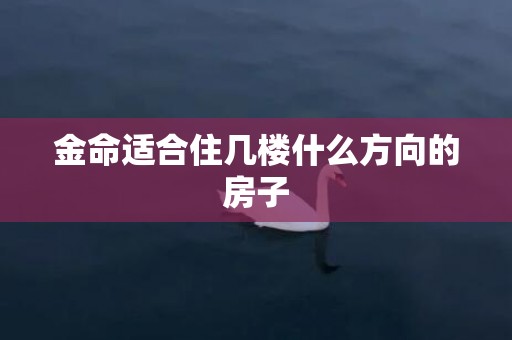 金命适合住几楼什么方向的房子