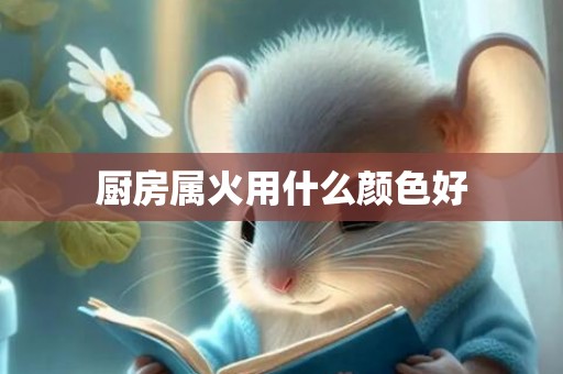 厨房属火用什么颜色好
