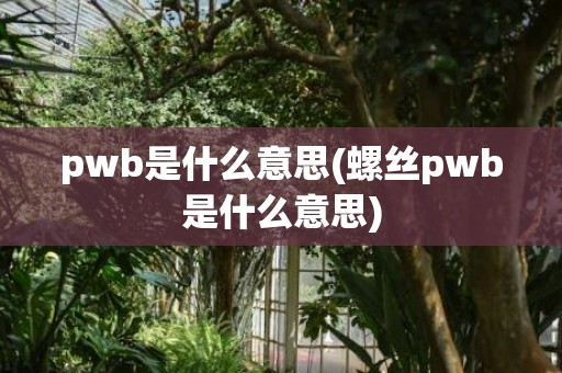 pwb是什么意思(螺丝pwb是什么意思)
