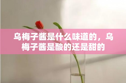 乌梅子酱是什么味道的，乌梅子酱是酸的还是甜的
