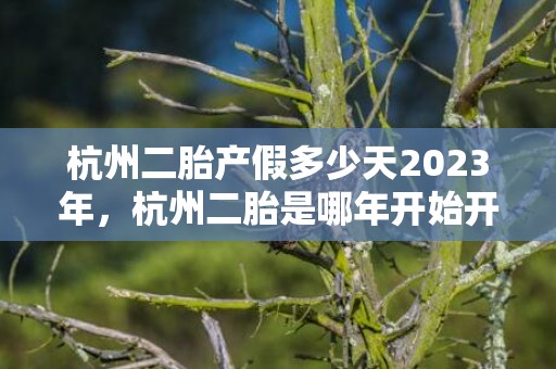 杭州二胎产假多少天2023年，杭州二胎是哪年开始开放的