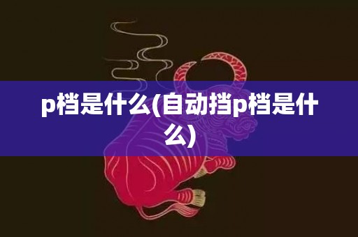 p档是什么(自动挡p档是什么)