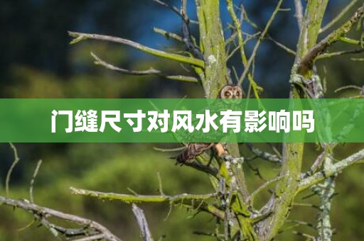 门缝尺寸对风水有影响吗