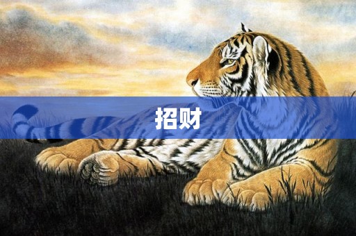 招财