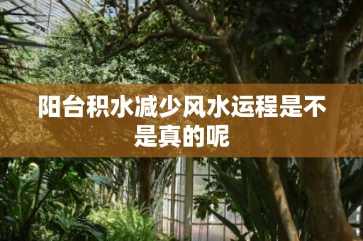 阳台积水减少风水运程是不是真的呢