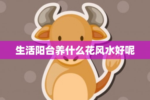 生活阳台养什么花风水好呢