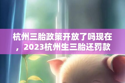 杭州三胎政策开放了吗现在，2023杭州生三胎还罚款吗
