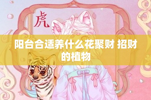 阳台合适养什么花聚财 招财的植物
