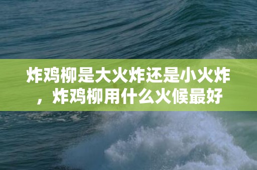 炸鸡柳是大火炸还是小火炸，炸鸡柳用什么火候最好