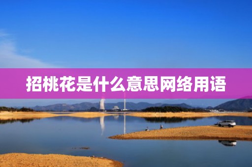 招桃花是什么意思网络用语