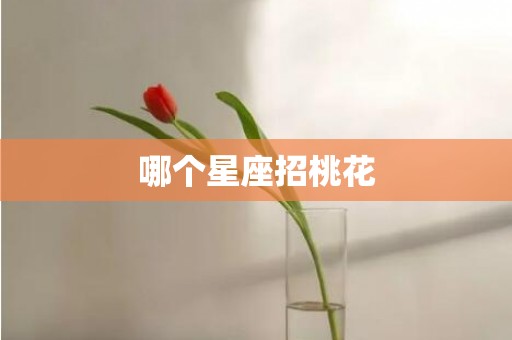 哪个星座招桃花
