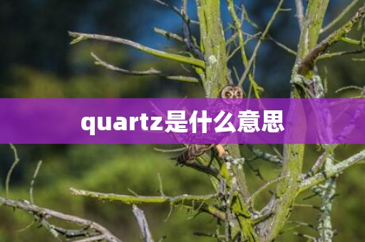 quartz是什么意思