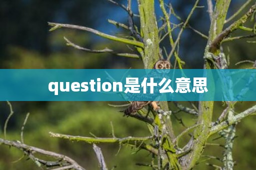 question是什么意思