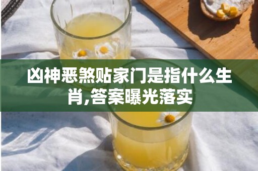 凶神恶煞贴家门是指什么生肖,答案曝光落实