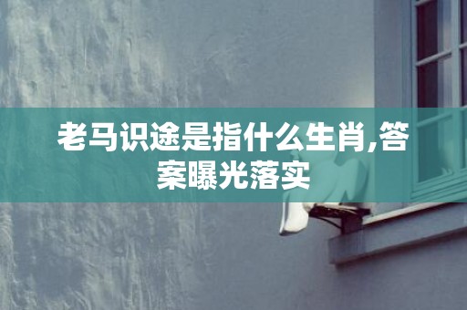 老马识途是指什么生肖,答案曝光落实