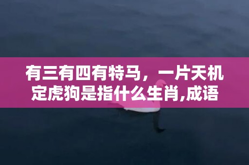 有三有四有特马，一片天机定虎狗是指什么生肖,成语解释落实