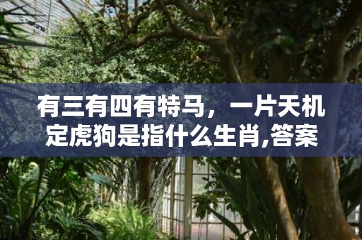 有三有四有特马，一片天机定虎狗是指什么生肖,答案曝光落实