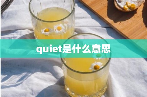 quiet是什么意思