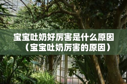 宝宝吐奶好厉害是什么原因（宝宝吐奶厉害的原因）