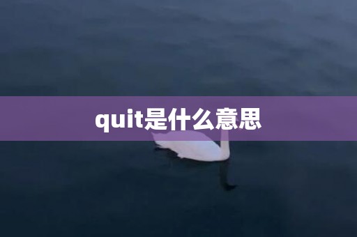 quit是什么意思