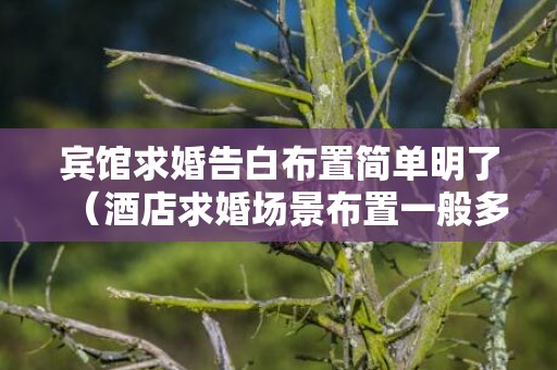 宾馆求婚告白布置简单明了（酒店求婚场景布置一般多少价位）