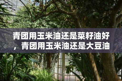 青团用玉米油还是菜籽油好，青团用玉米油还是大豆油好