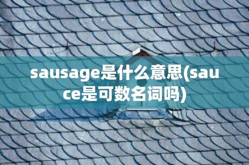 sausage是什么意思(sauce是可数名词吗)