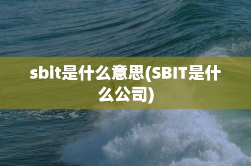sbit是什么意思(SBIT是什么公司)