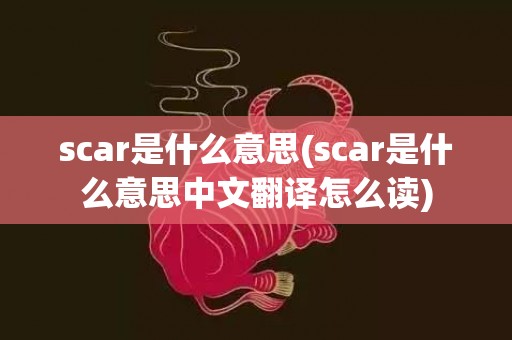 scar是什么意思(scar是什么意思中文翻译怎么读)