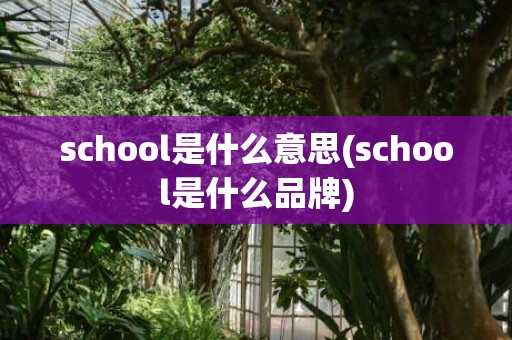school是什么意思(school是什么品牌)