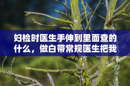 妇检时医生手伸到里面查的什么，做白带常规医生把我弄出血了要紧吗