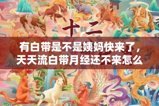 有白带是不是姨妈快来了，天天流白带月经还不来怎么回事