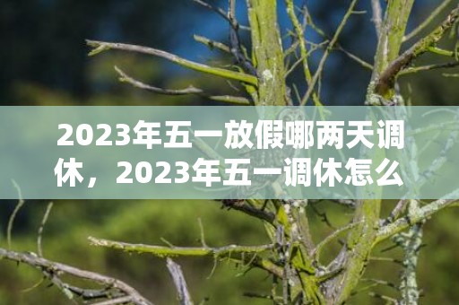 2023年五一放假哪两天调休，2023年五一调休怎么调