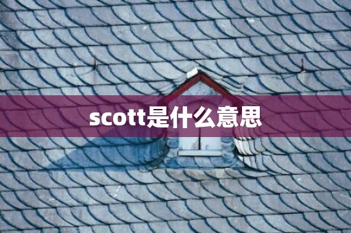 scott是什么意思