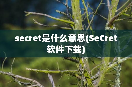 secret是什么意思(SeCret软件下载)