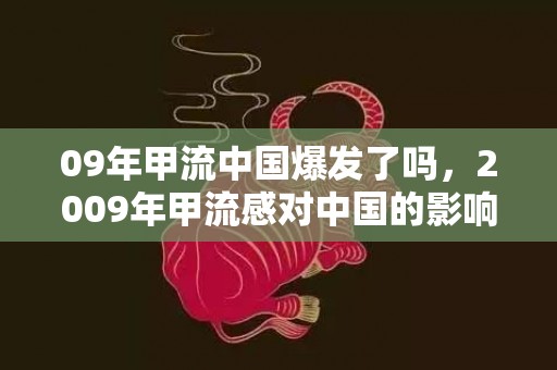 09年甲流中国爆发了吗，2009年甲流感对中国的影响