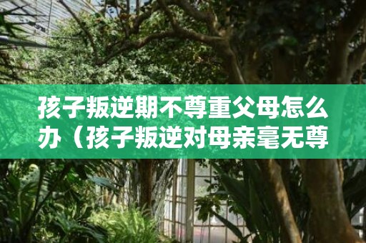 孩子叛逆期不尊重父母怎么办（孩子叛逆对母亲毫无尊敬）