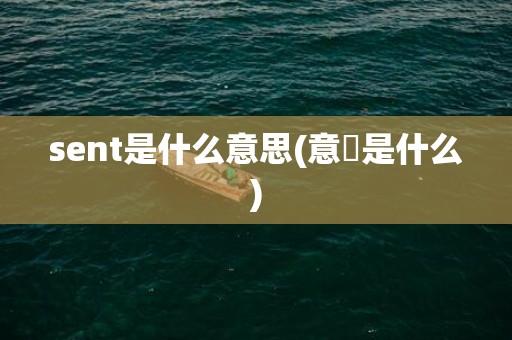 sent是什么意思(意婬是什么)