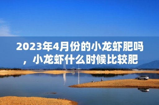 2023年4月份的小龙虾肥吗，小龙虾什么时候比较肥