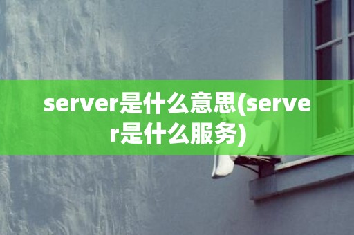 server是什么意思(server是什么服务)