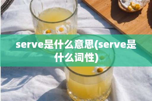 serve是什么意思(serve是什么词性)