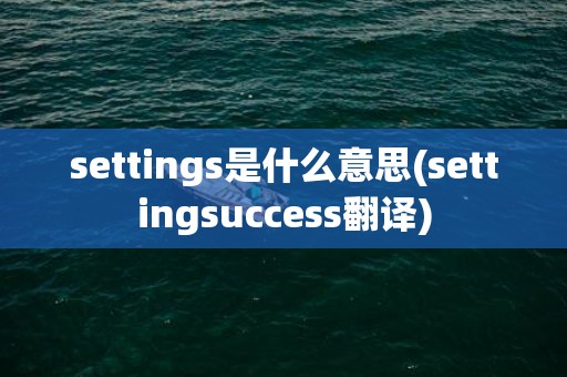 settings是什么意思(settingsuccess翻译)