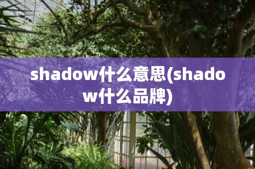shadow什么意思(shadow什么品牌)
