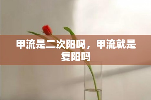 甲流是二次阳吗，甲流就是复阳吗