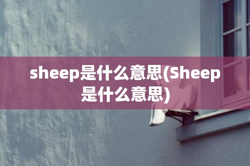sheep是什么意思(Sheep是什么意思)