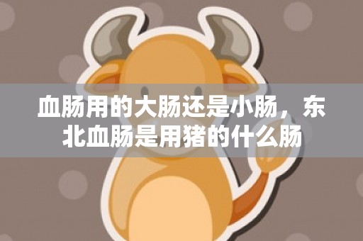 血肠用的大肠还是小肠，东北血肠是用猪的什么肠